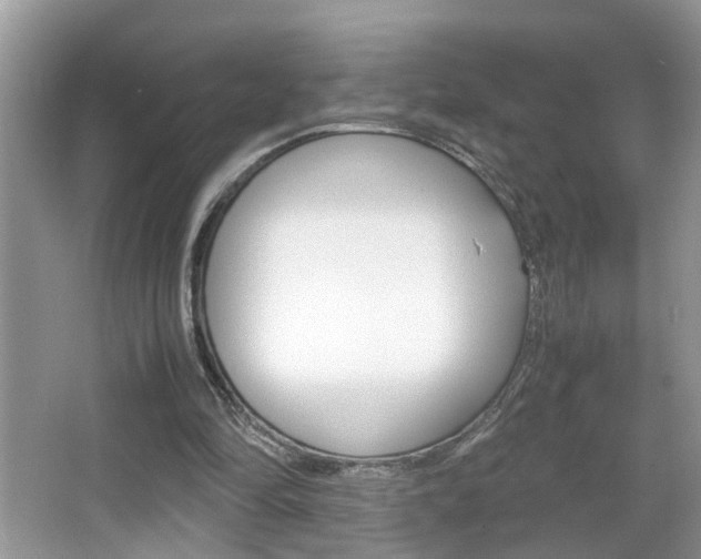 X0000067910294200604131116