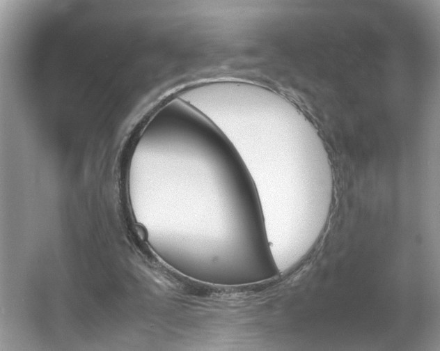 X0000067910295200604131116