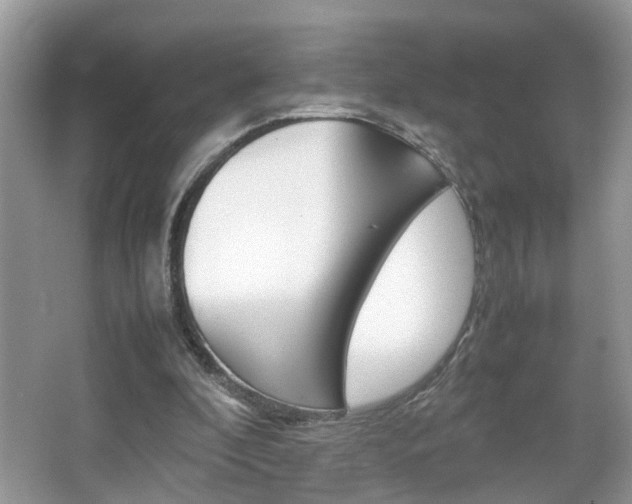 X0000067910296200604131116