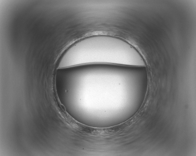 X0000067910297200604131116