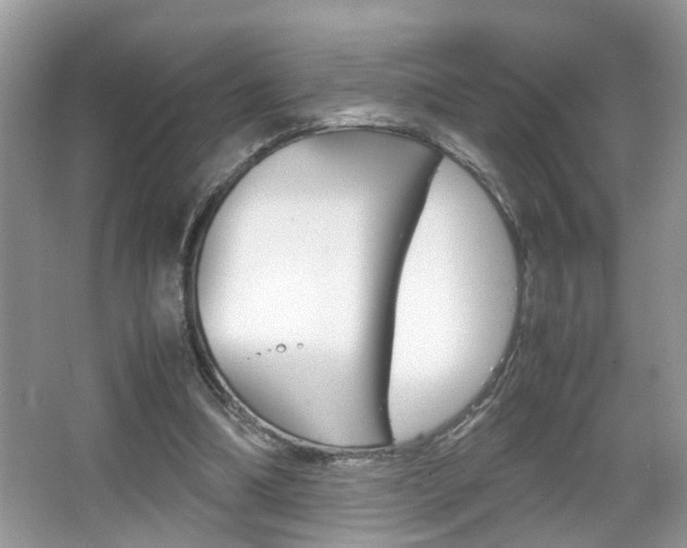 X0000067910298200604131116