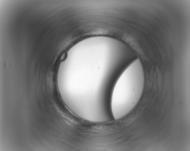 X0000067910300200604131116