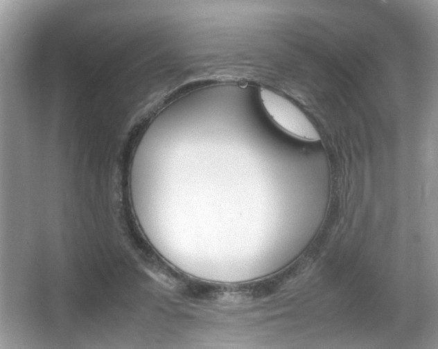 X0000067910303200604131115