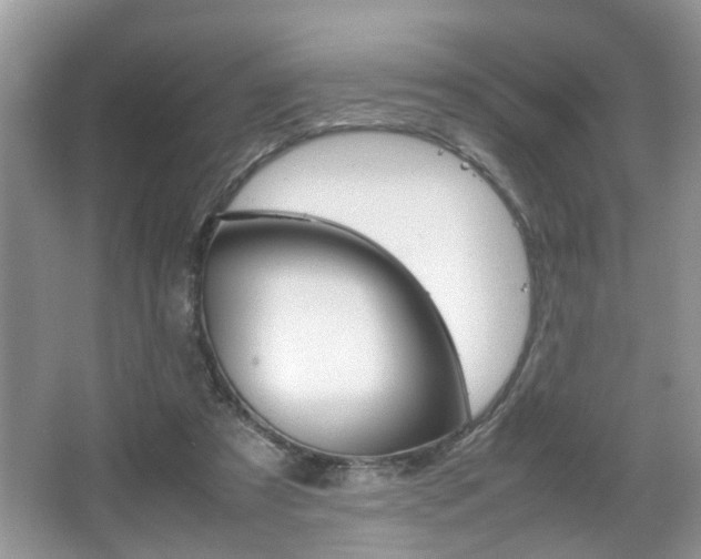 X0000067910305200604131115