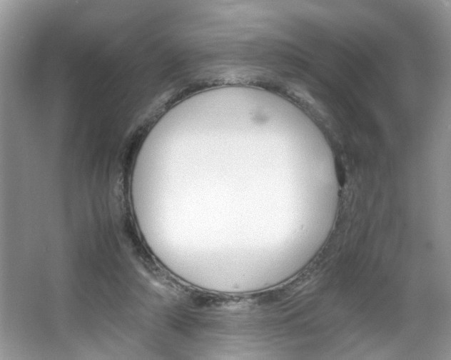 X0000067910306200604131115