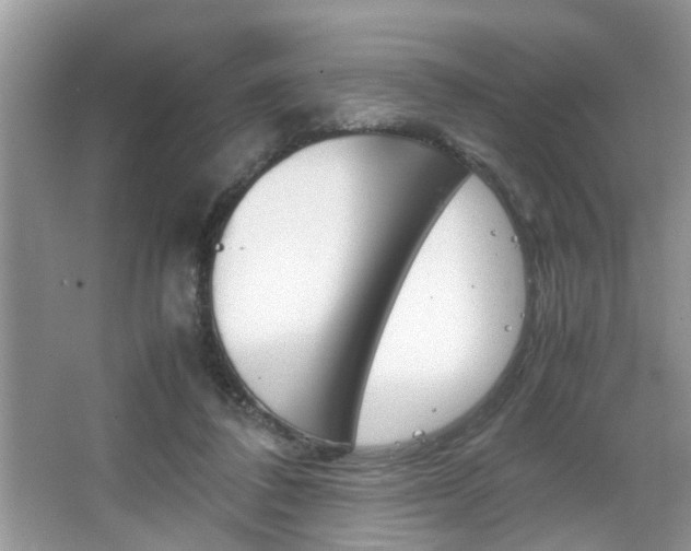 X0000067910308200604131115