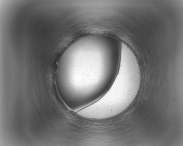 X0000067910309200604131115