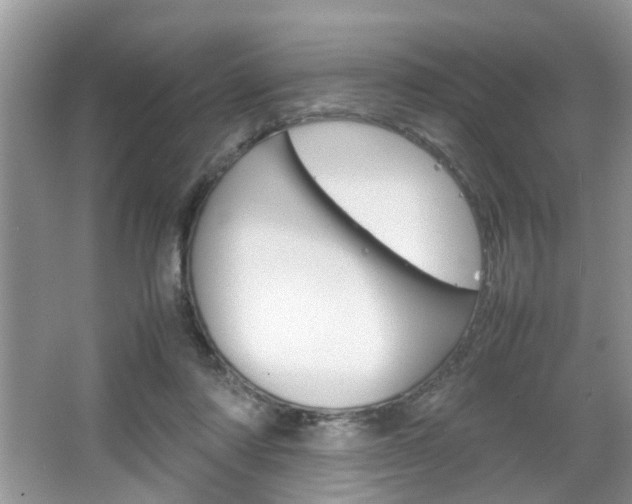 X0000067910310200604131115