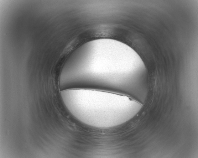 X0000067910312200604131115