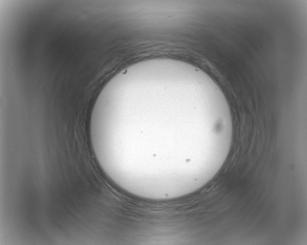 X0000067910313200604131115