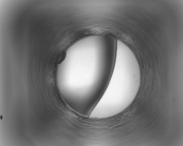 X0000067910317200604131115