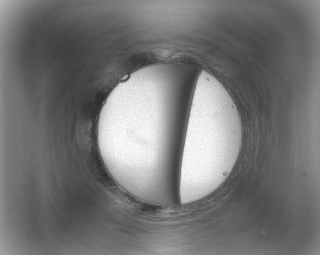 X0000067910319200604131115