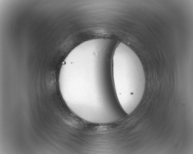 X0000067910320200604131115