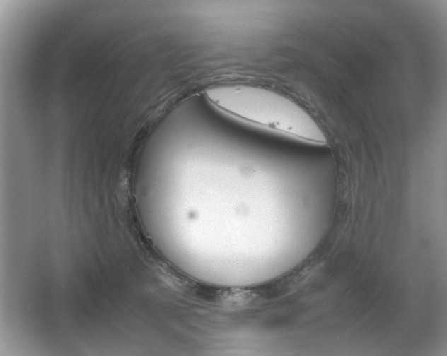 X0000067910321200604131115