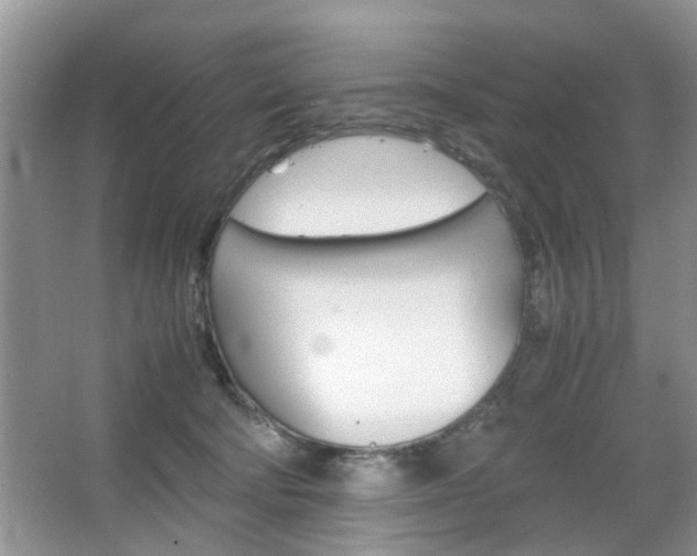 X0000067910322200604131115