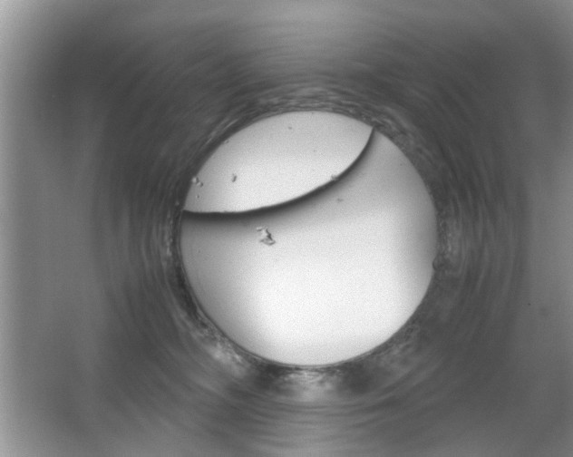 X0000067910326200604131115