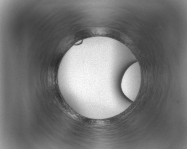 X0000067910330200604131115