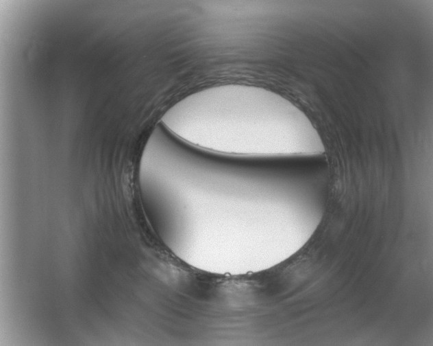 X0000067910332200604131115