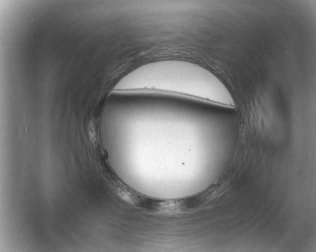 X0000067910335200604131115