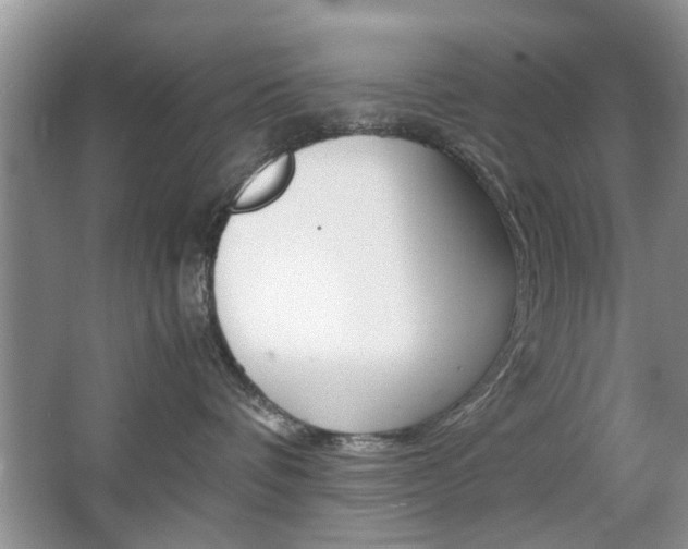 X0000067910336200604131115