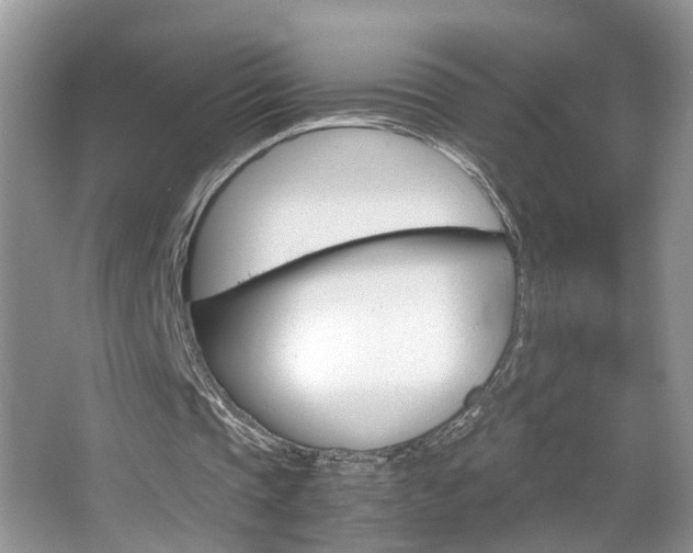 X0000067910337200604131114