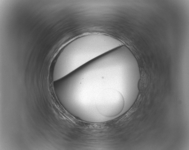 X0000067910338200604131114