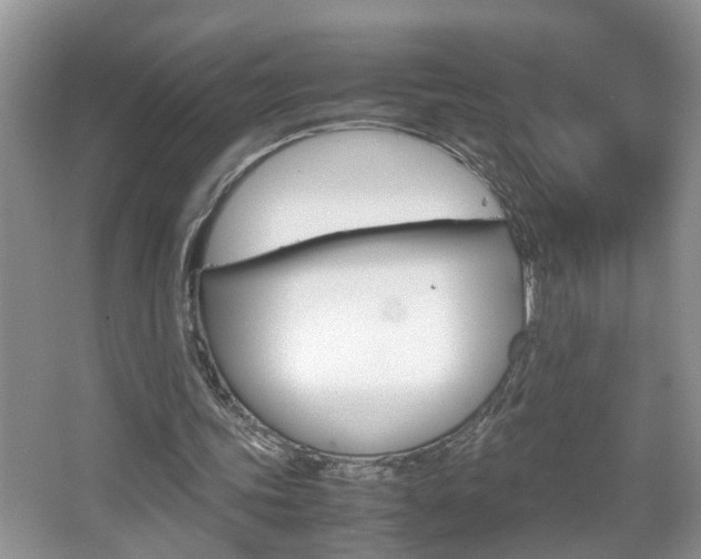 X0000067910339200604131114