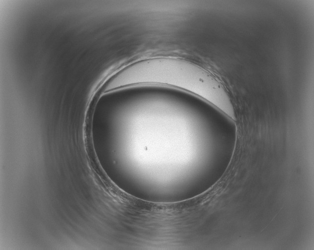 X0000067910340200604131114