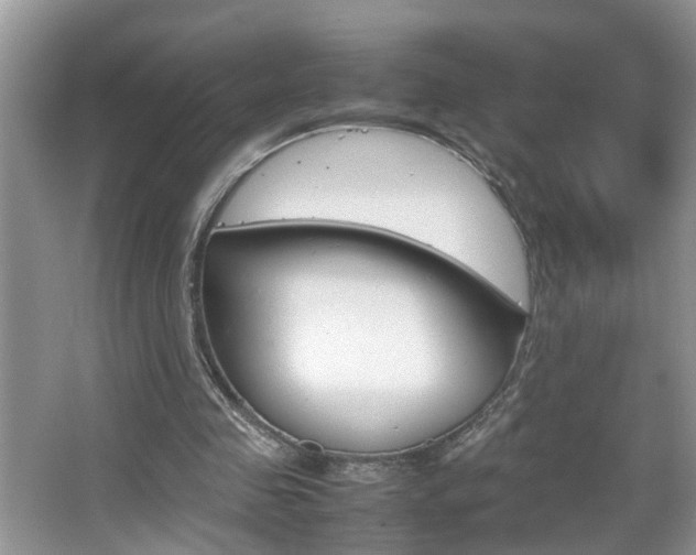 X0000067910341200604131114