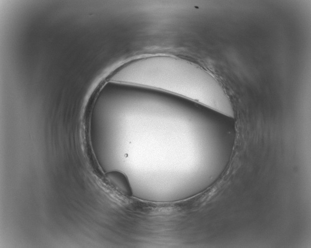 X0000067910342200604131114