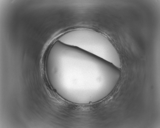 X0000067910343200604131114