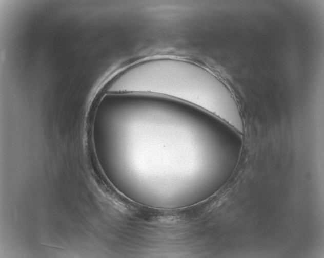 X0000067910344200604131114