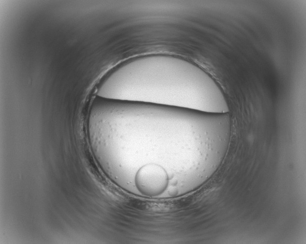 X0000067910347200604131114