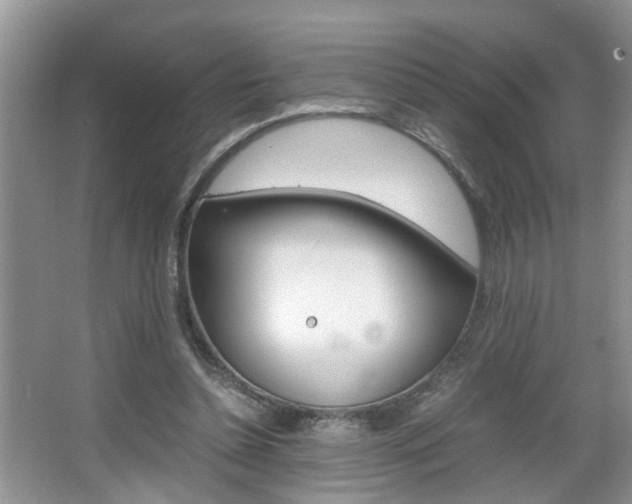 X0000067910348200604131114