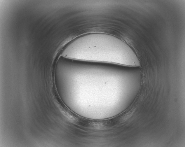 X0000067910349200604131114