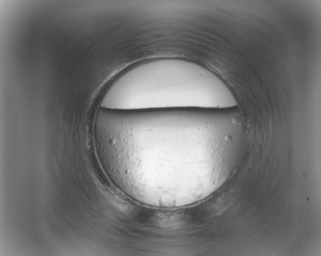 X0000067910351200604131114