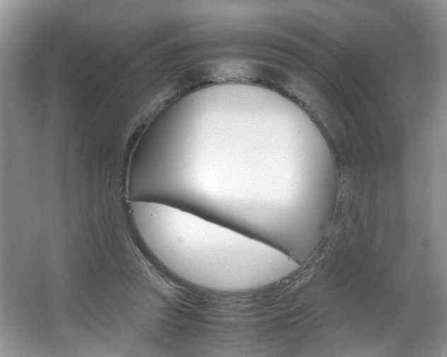 X0000067910353200604131114