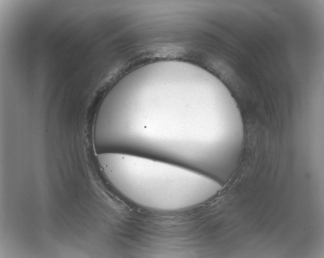 X0000067910354200604131114