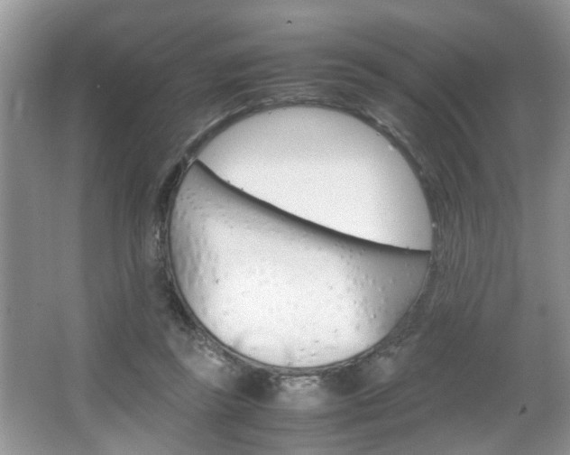 X0000067910355200604131114