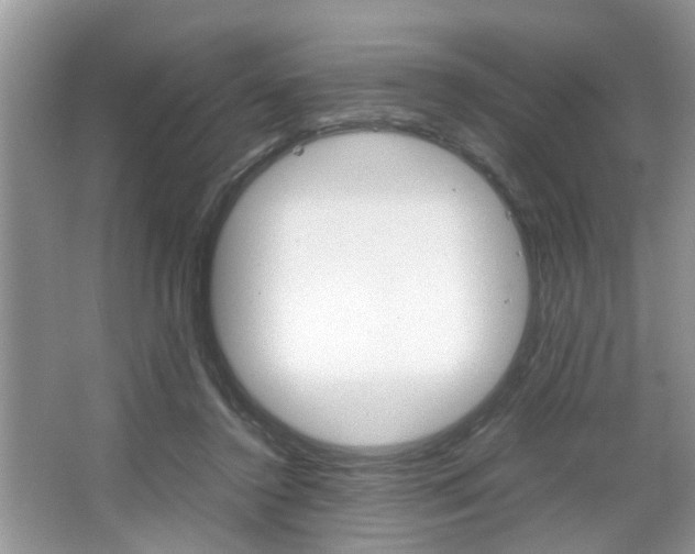 X0000067910356200604131114