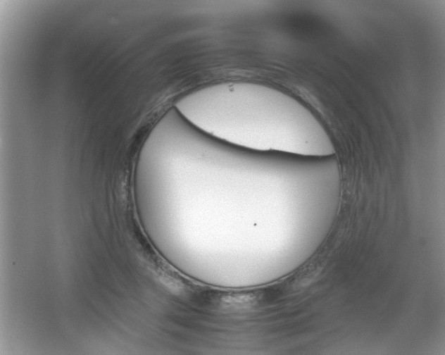 X0000067910357200604131114