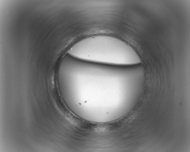 X0000067910358200604131114