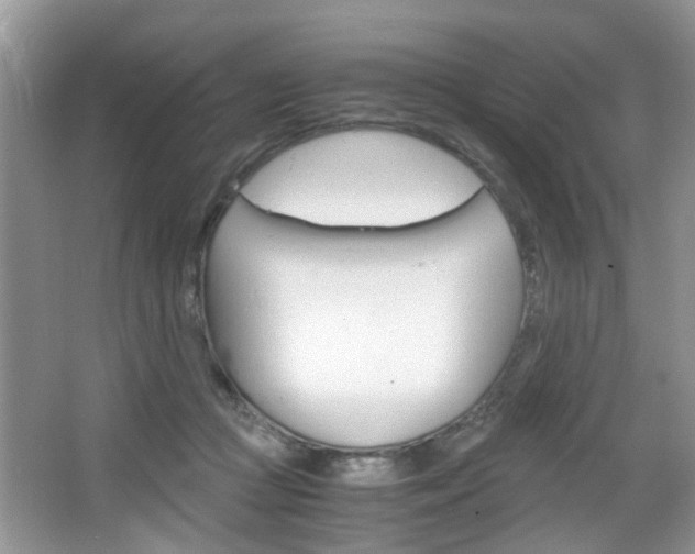 X0000067910361200604131114