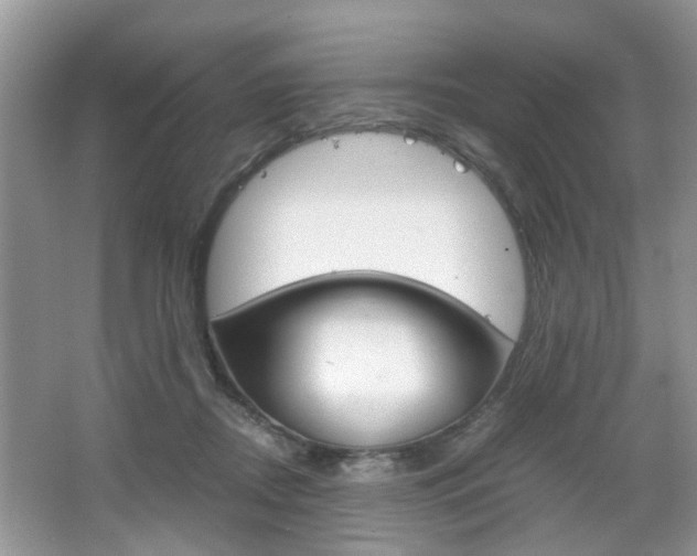 X0000067910362200604131114