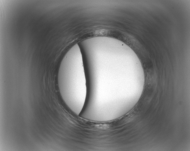 X0000067910363200604131115