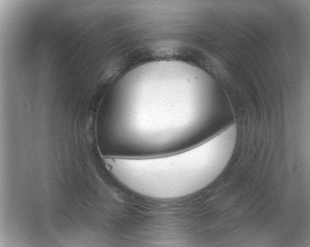 X0000067910364200604131115