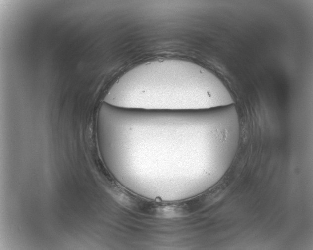 X0000067910365200604131115