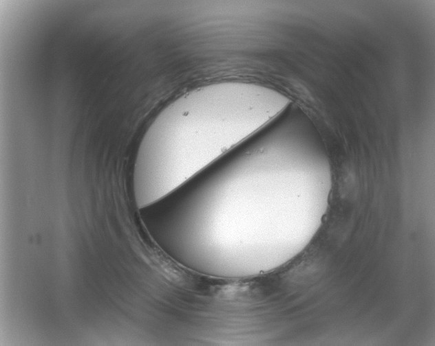 X0000067910366200604131115