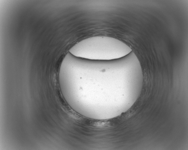 X0000067910375200604131115