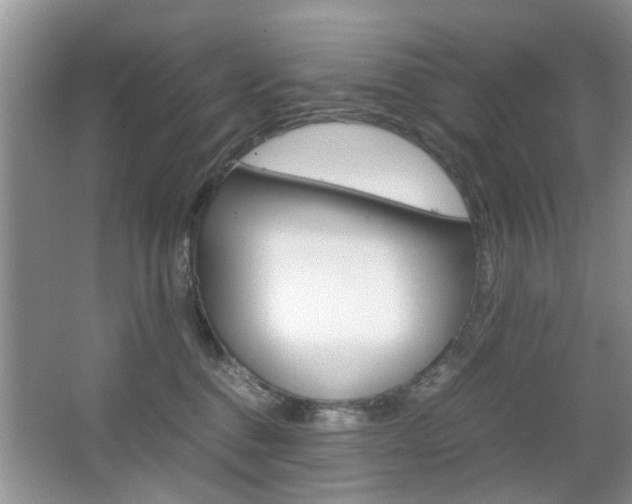 X0000067910376200604131115